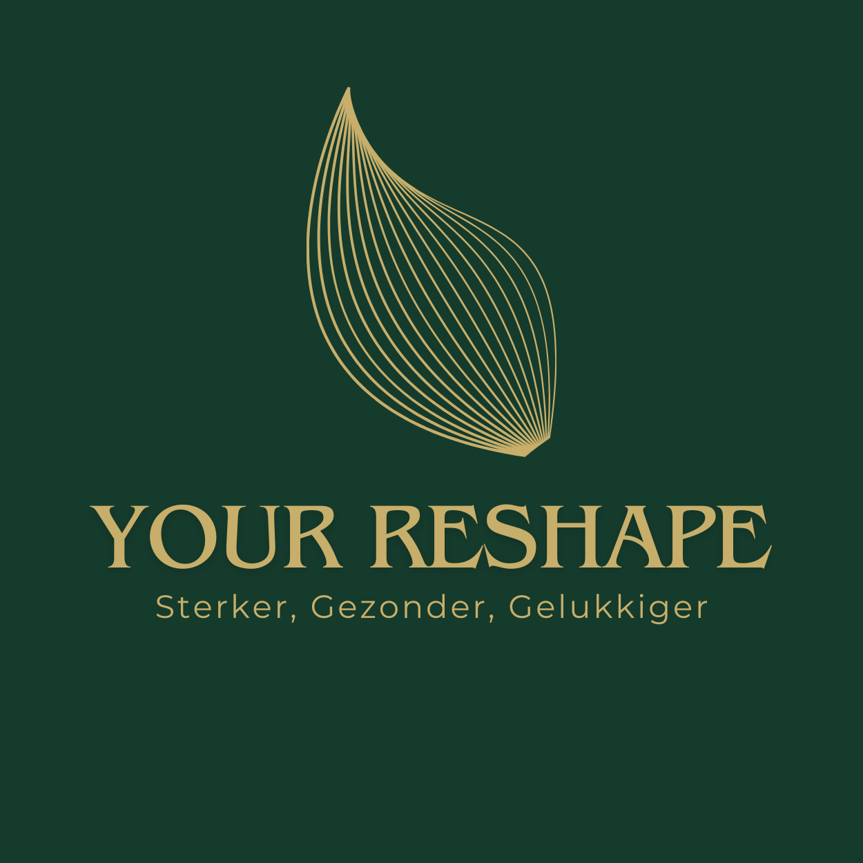 your ReShape (5)